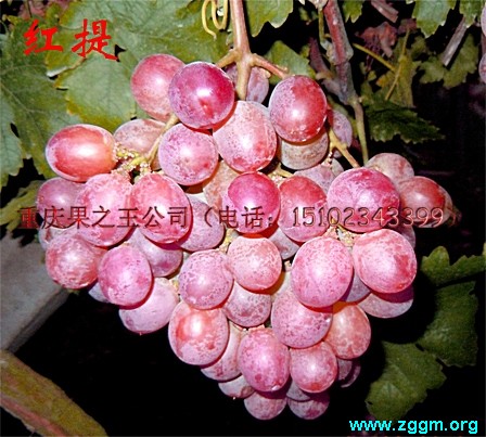 2014092616330492.jpg