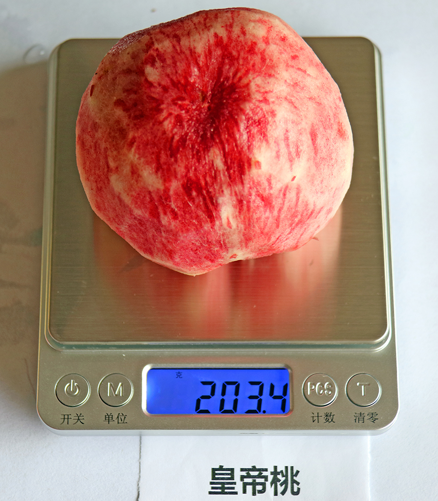 皇帝桃3.jpg
