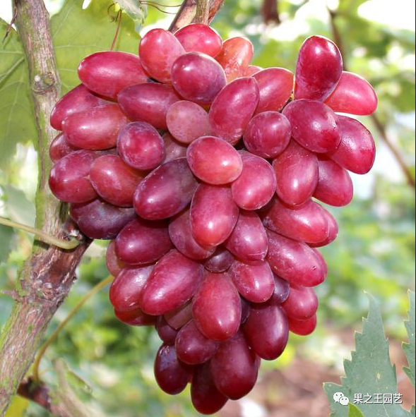 1595403066352571.png 8.png