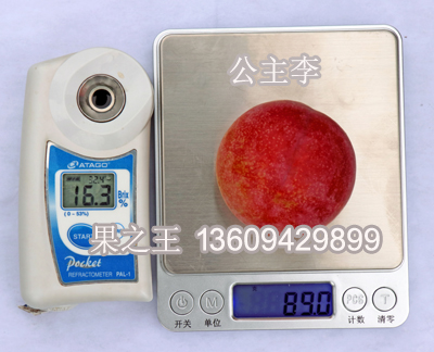 1595404789771714.jpg 公主李2018广7糖度 拷贝.jpg