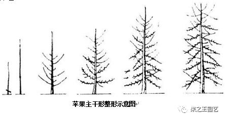 1595405675869434.png 3.png