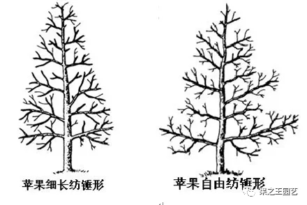 1595405686308313.jpg 4.webp.jpg