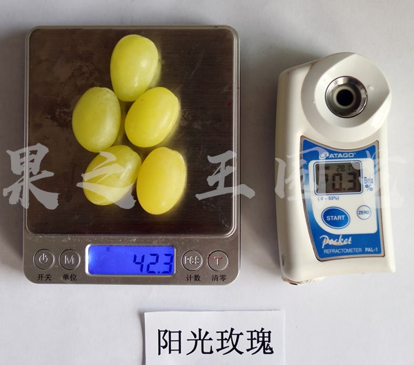 1595485326965063.jpg 阳光玫瑰2019广2糖度_副本.jpg
