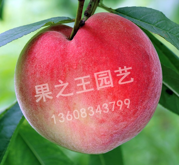 1595497881650170.jpg