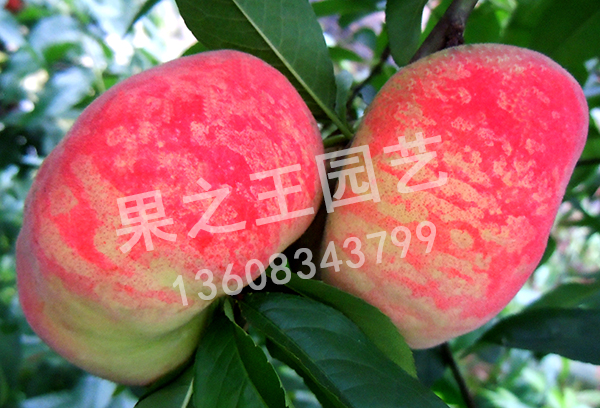 1595584695283216.jpg