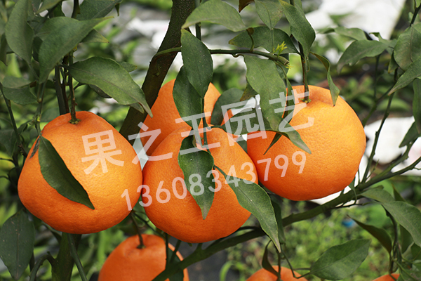 1595647435975361.jpg
