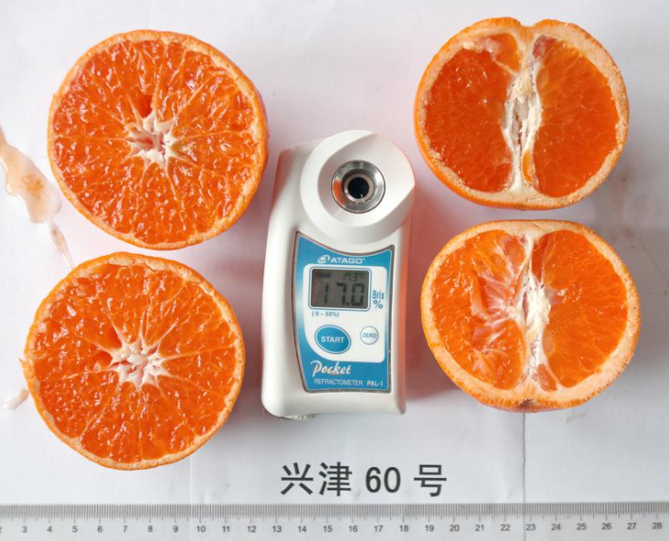 1595657860816334.png 微信图片_20200725105157.png