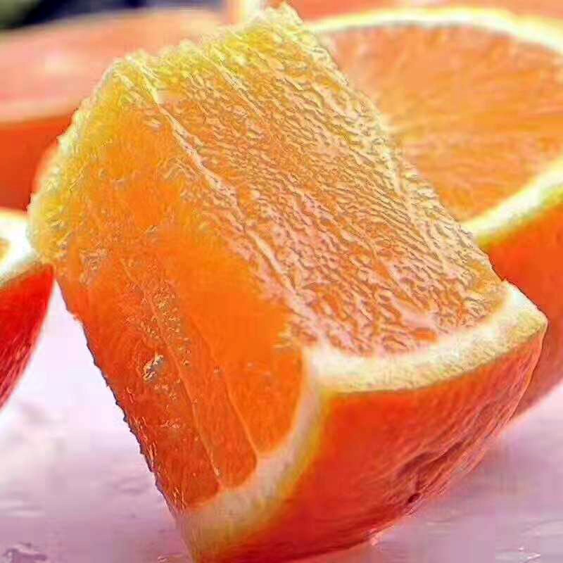 1598408082246936.jpg 1598408082246936.jpg