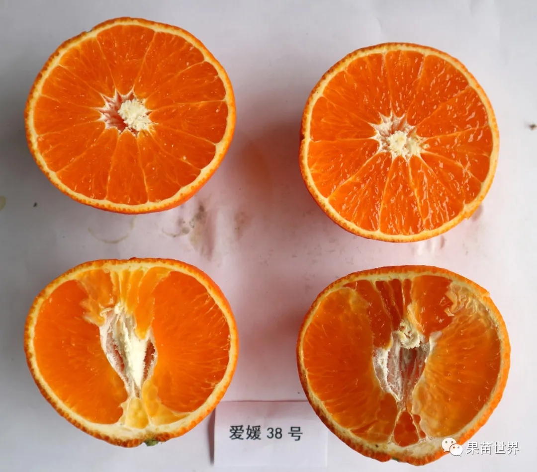 1601558588416671.jpg 640.webp.jpg
