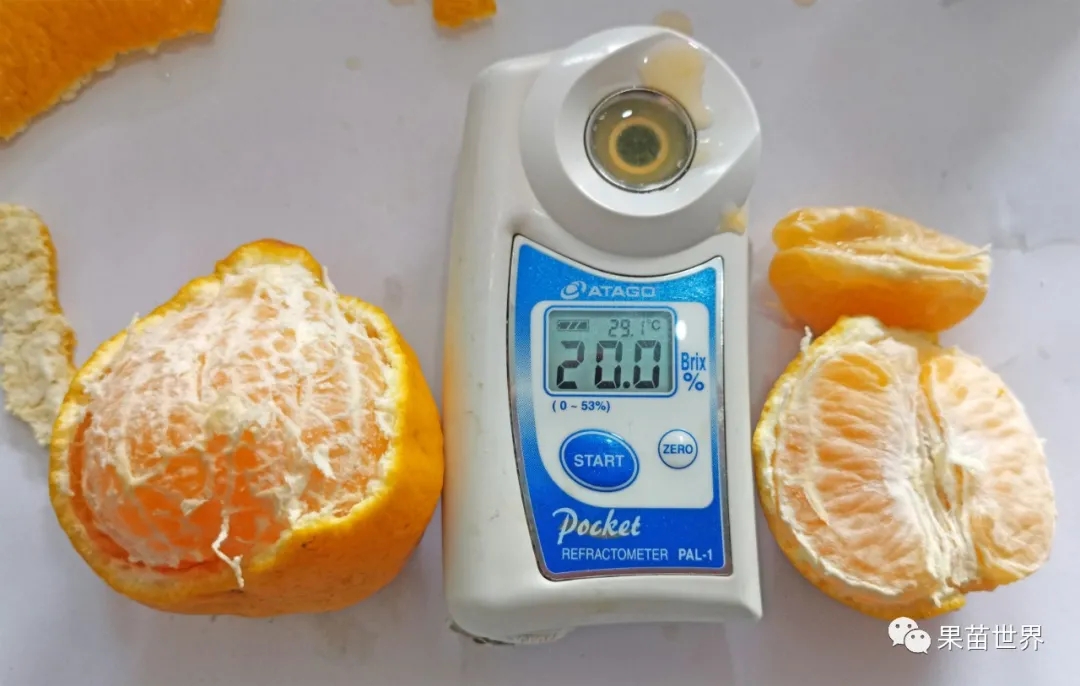 1601558685305887.jpg 640.webp (3).jpg