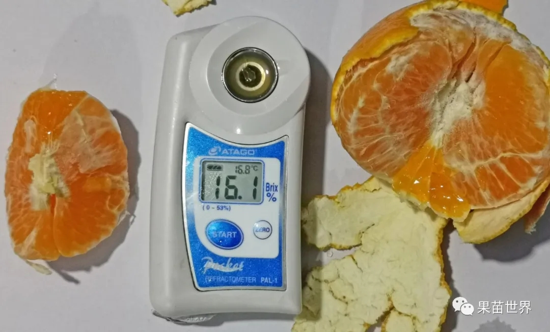 1601558789751601.jpg 640.webp (6).jpg