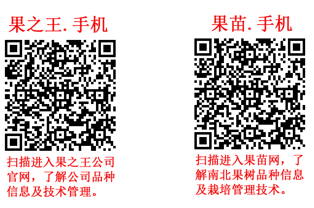 1603241710325769.jpg 果苗、果之王手机域名二维码新.jpg