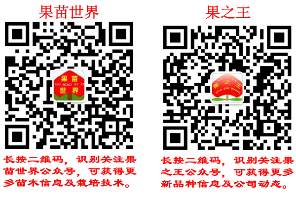 1609149624262955.jpg 果苗世界和果之王二维码.jpg