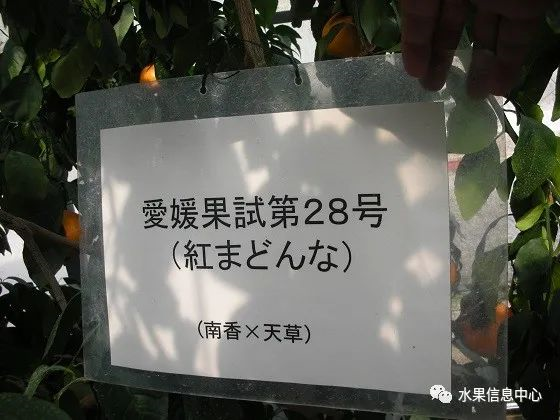 1614135115142740.png image.png