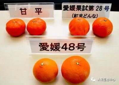 1614135199102529.png image.png