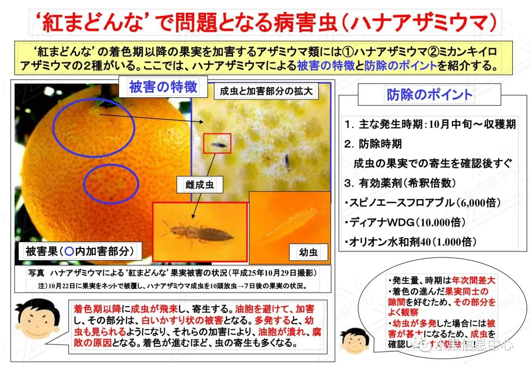 1614135750810998.png image.png