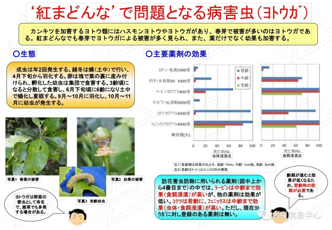 1614135758290179.png image.png