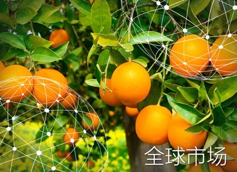 1670814698107834.jpg gjthumbnail_Global_CN.jpg